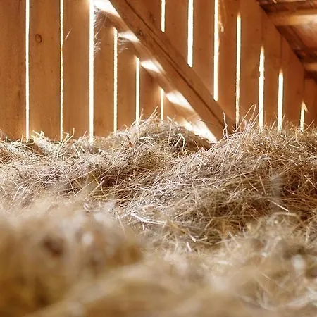 Madronic Family Estate - Kolpa River