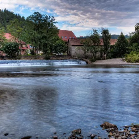 Pensjonat Madronic Family Estate - Kolpa River 3*