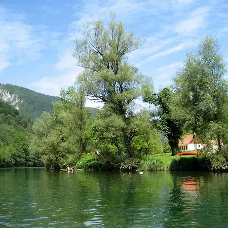 Madronic Family Estate - Kolpa River Pensjonat Stari Trg ob Kolpi