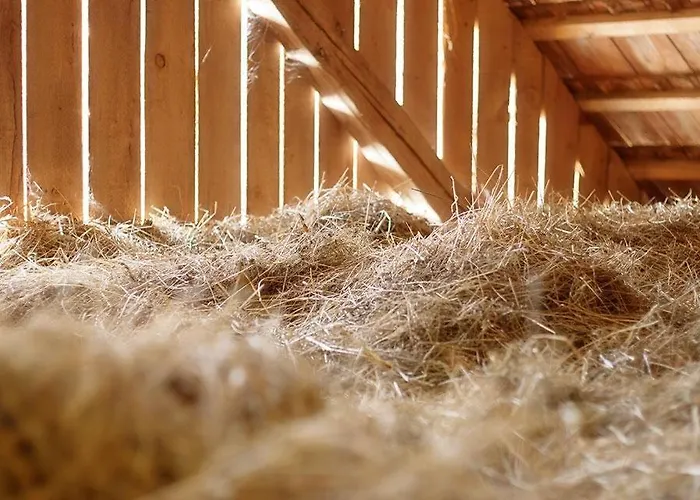 Madronic Family Estate - Kolpa River